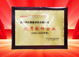 喜讯丨bifa必发(中国)数据获评2024~2025年度武汉市软件行业&ldquo;优秀企业&rdquo;、&ldquo;优秀工作者&rdquo;荣誉称号！